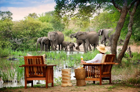 Step-by-Step Guide to Planning an African Safari