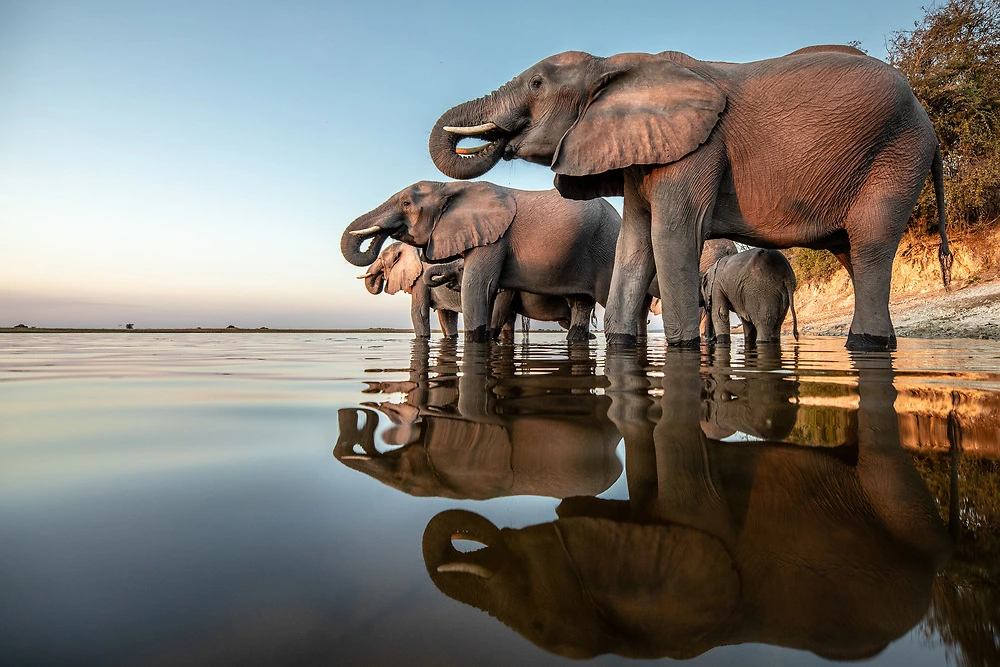 How Long Should an African Safari Be?
