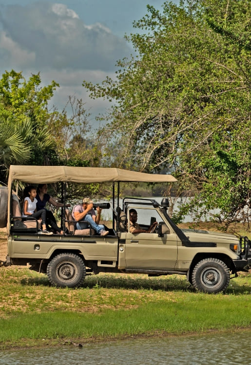 How to Choose a Safari Operator