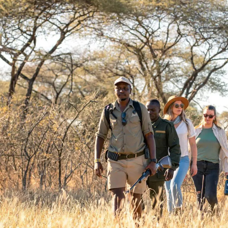 Best Countries for First-Time Safari Travelers