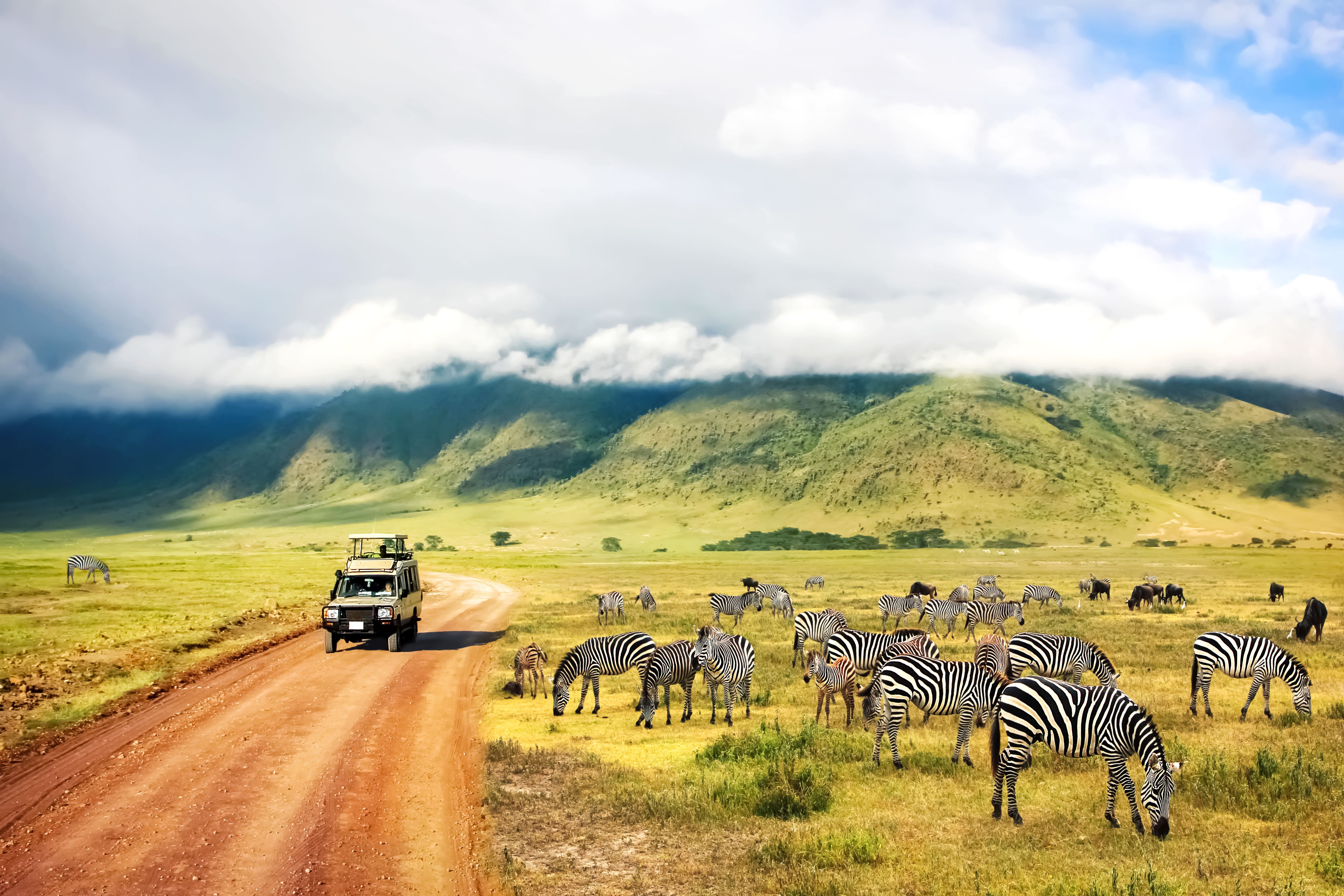 Planning a Multi-Country Safari
