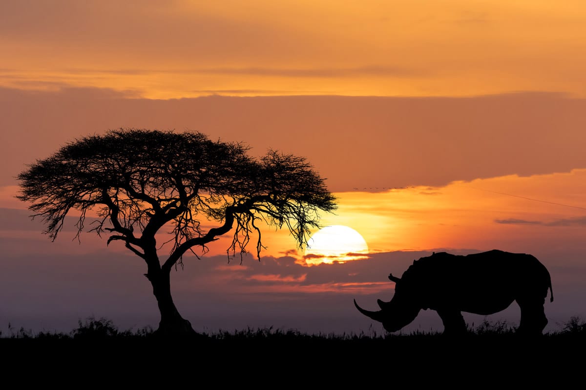 How to Combine Safari With Beach Destinations