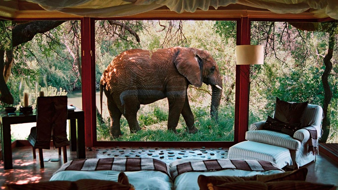 How Much Does an African Safari Cost?