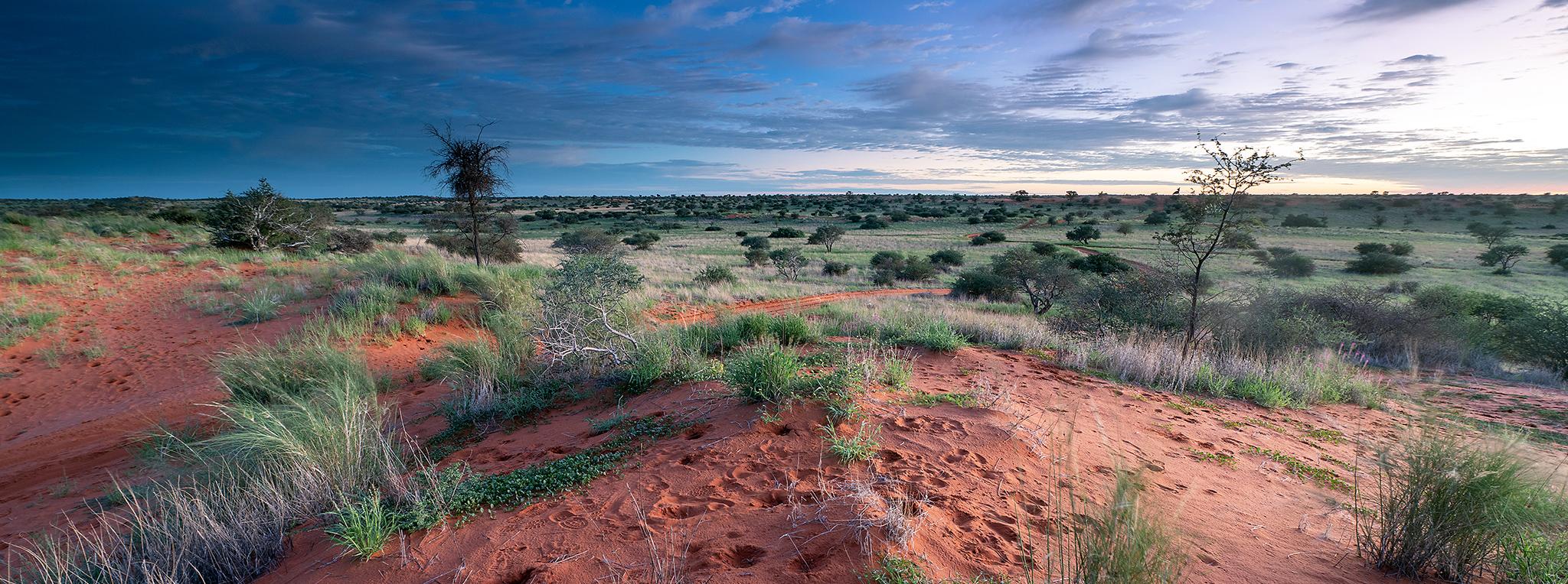 Luxury Safari Pricing Guide