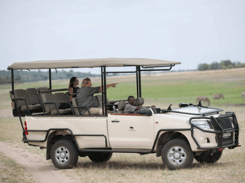 How to Choose a Safari Operator in South Africa