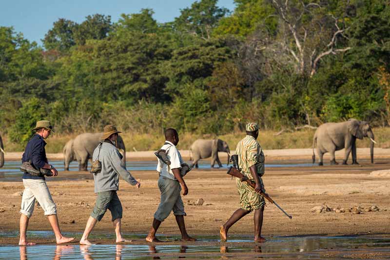 Safari Flights Cost Guide