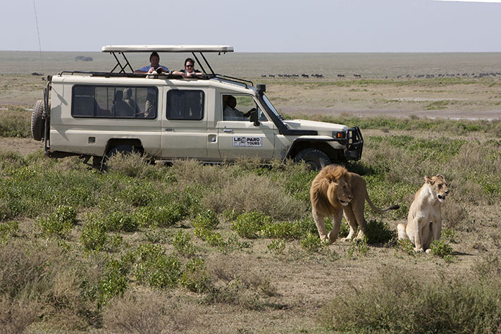 Complete Guide to Nyerere National Park