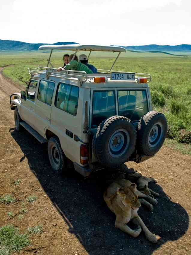 Safari Operators That Specialize in Walking Safaris