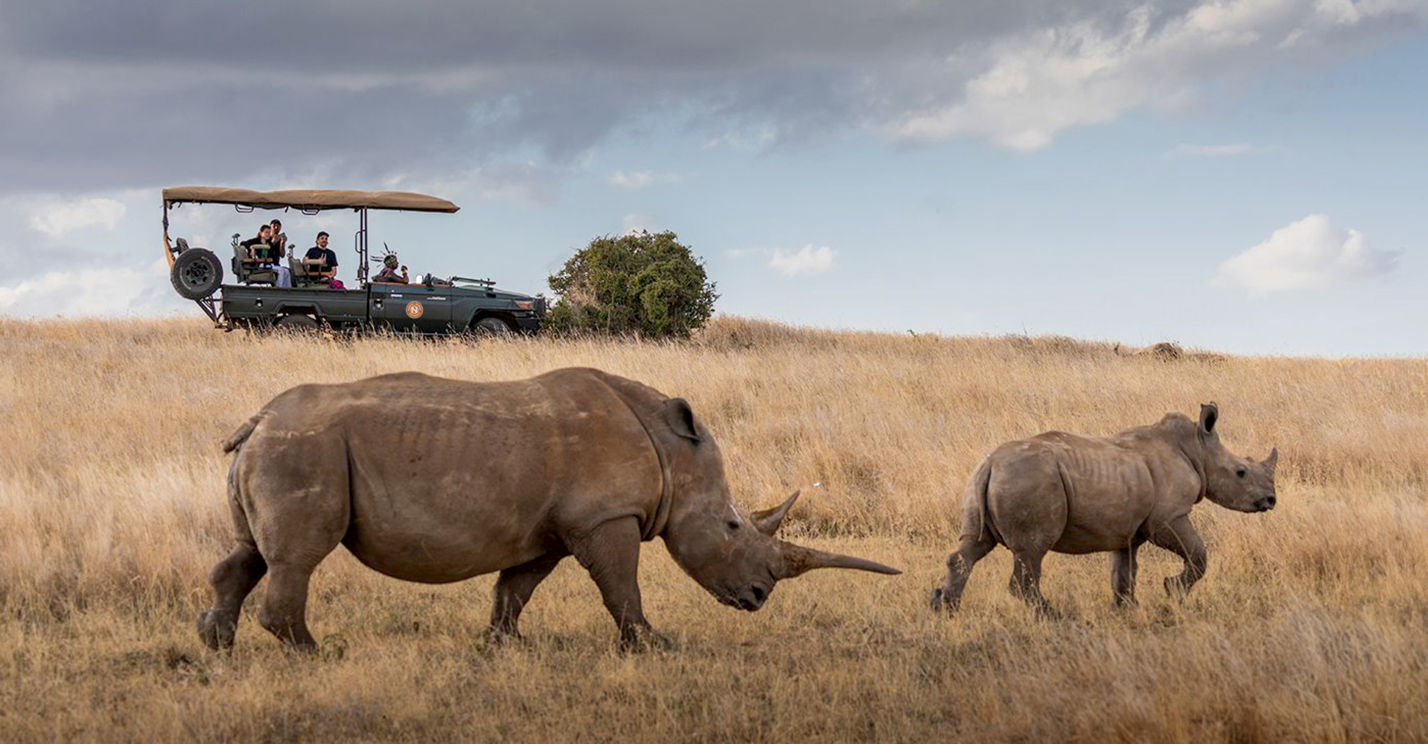 Safari Operators That Specialize in Family Safaris
