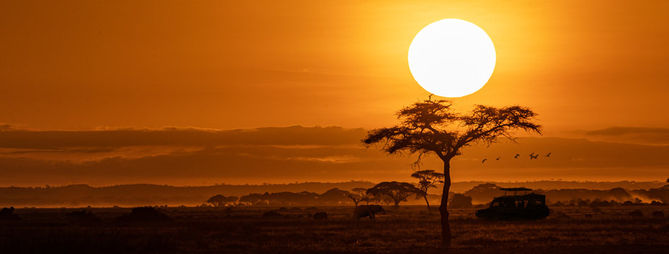 Luxury Safari Wine and Cocktail Experiences