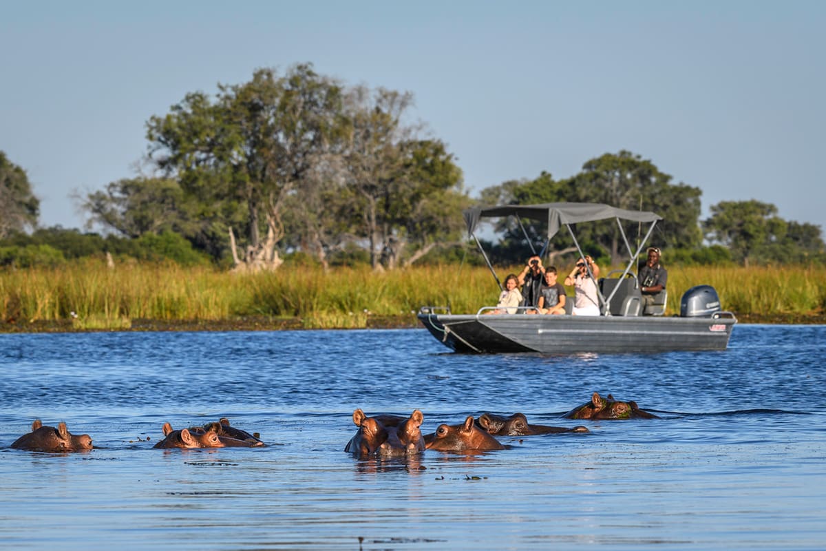 Safari Travel Insurance Costs Explained