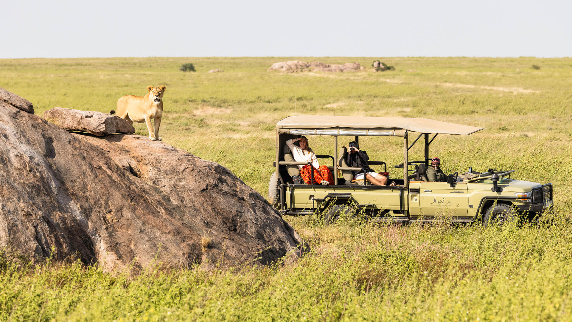 Etosha National Park Guide