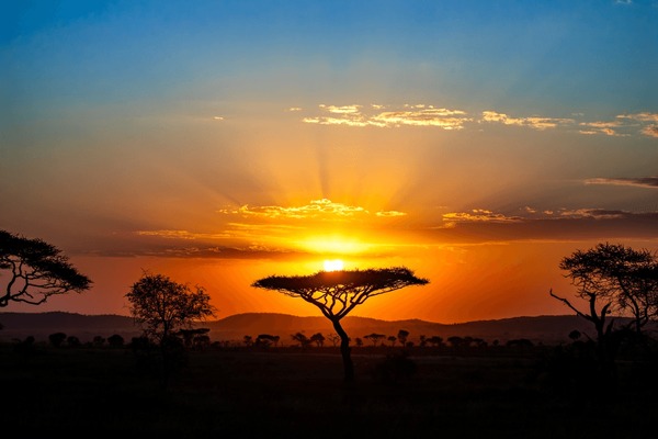 How to Plan a Safari for a University Study Trip