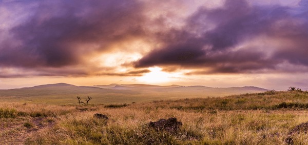 Luxury Safari Travel Insurance Guide