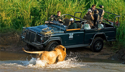 Safari Planning Guide for Budget Travelers