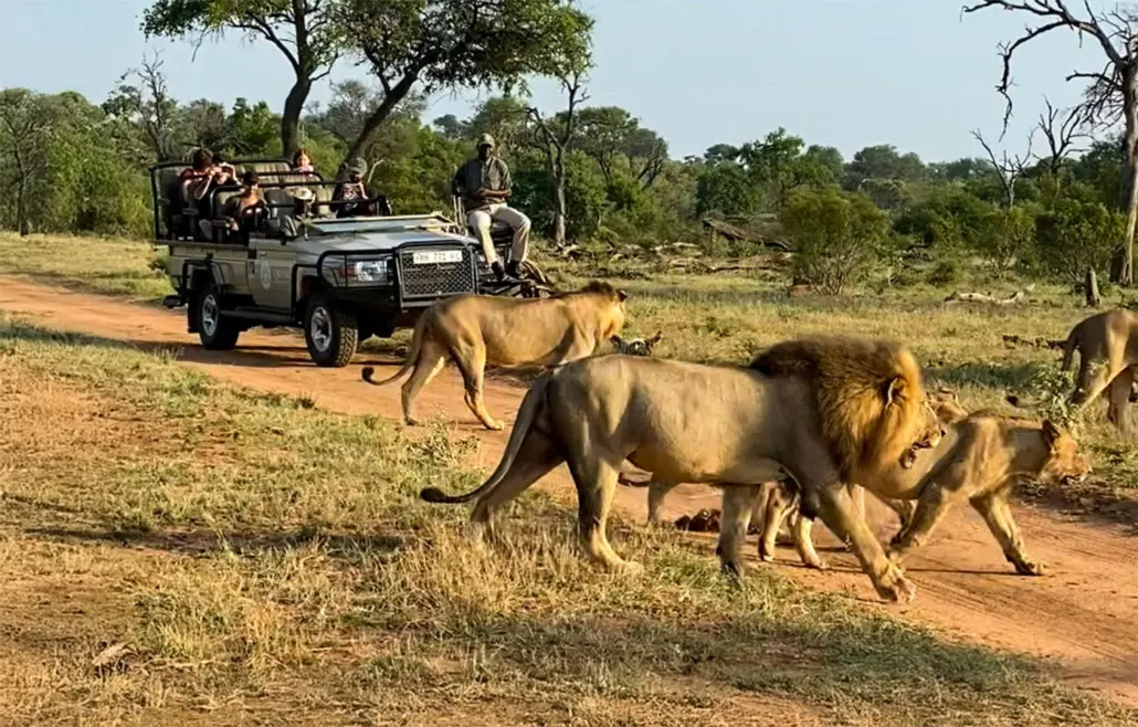 How Climate Change Is Affecting Safari Seasons