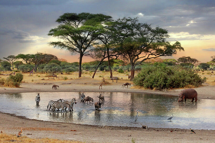 Safari Travel Etiquette