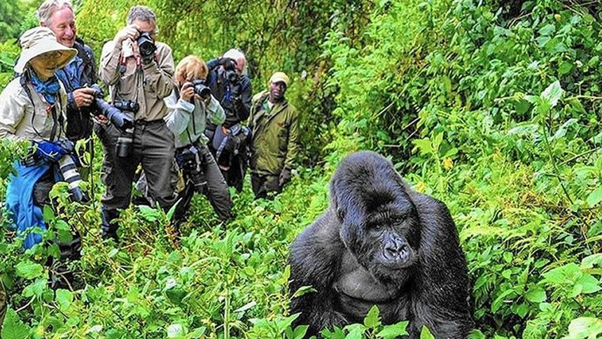 Ultimate Safari Packing List for East Africa