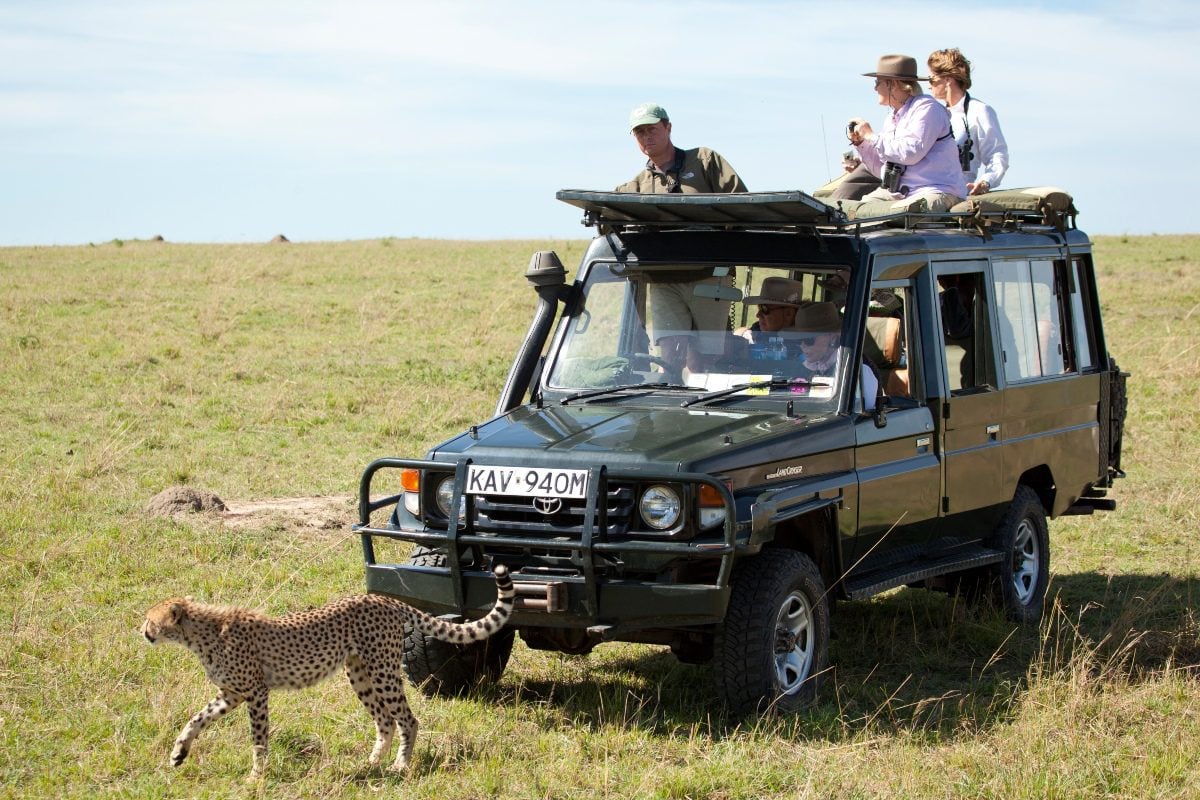 Safari Game Drive Etiquette