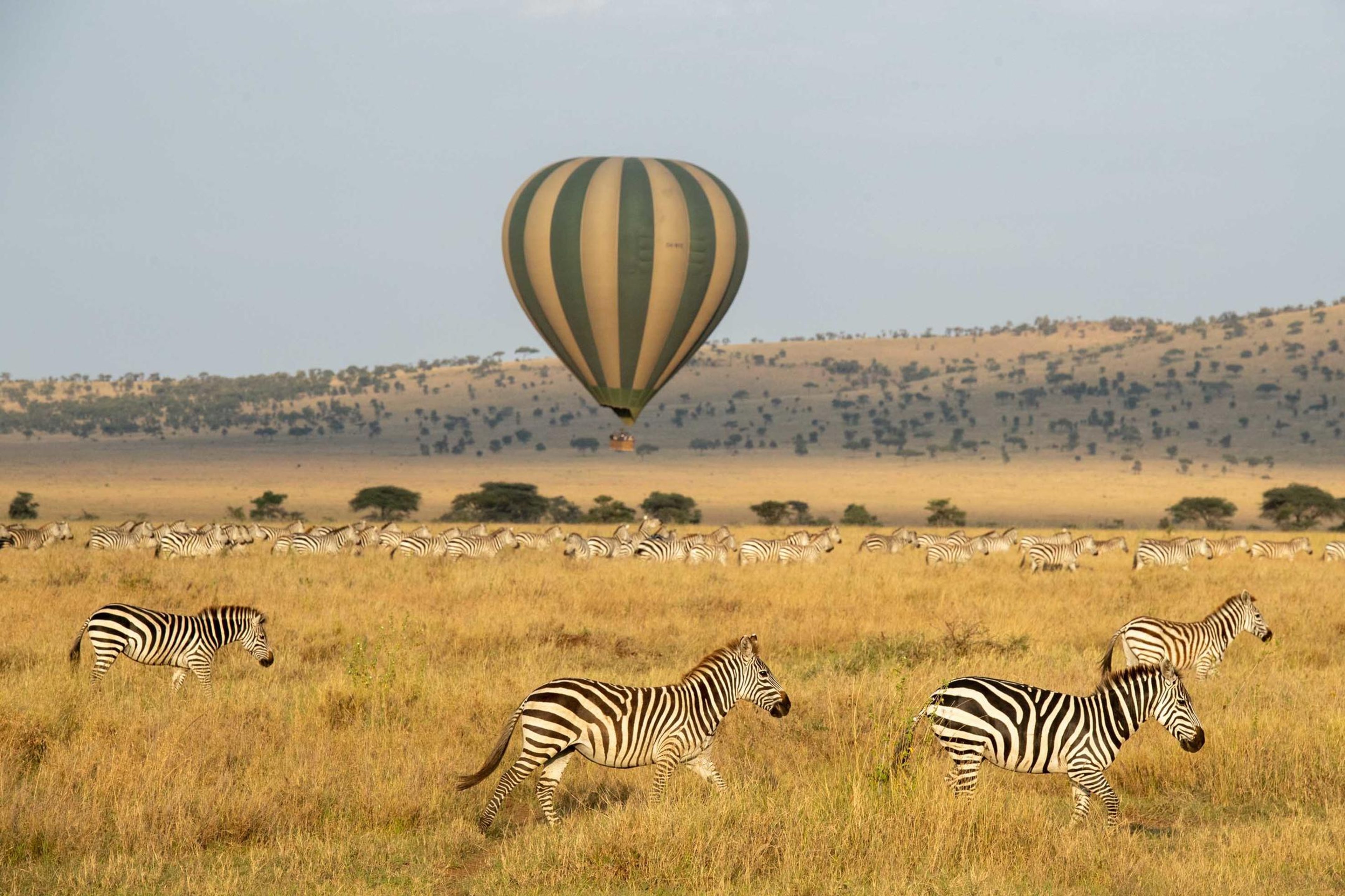What to Bring on Game Drives