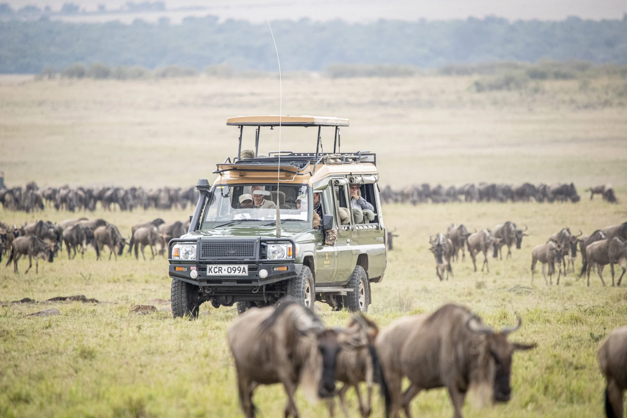 Safari Cost Comparison Peak vs Shoulder Season