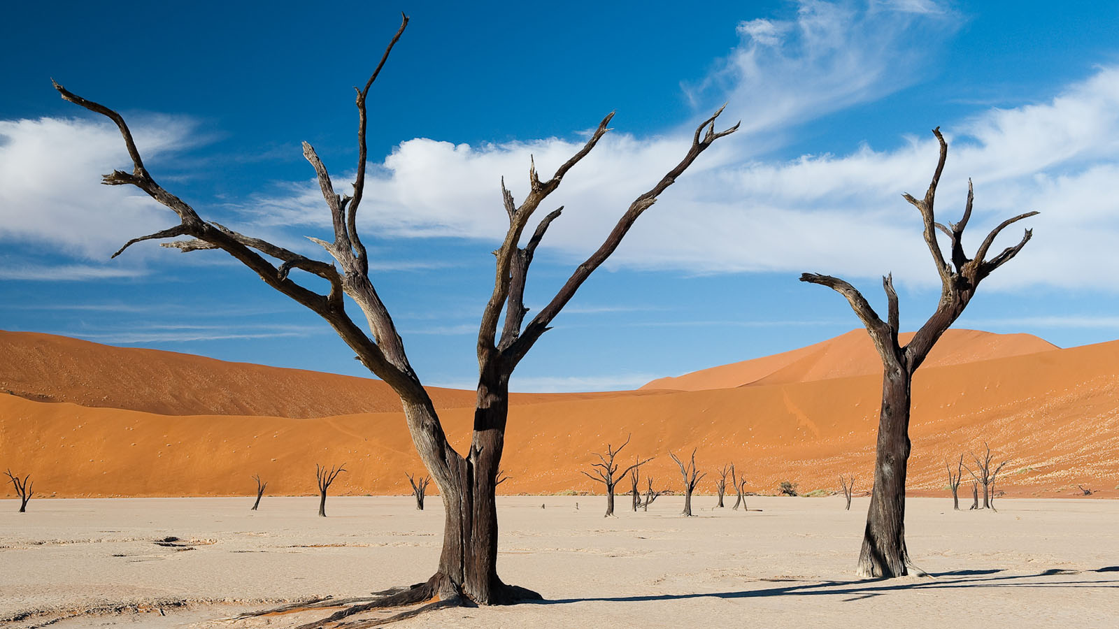 Safari Advisor vs Booking Platform – Key Differences