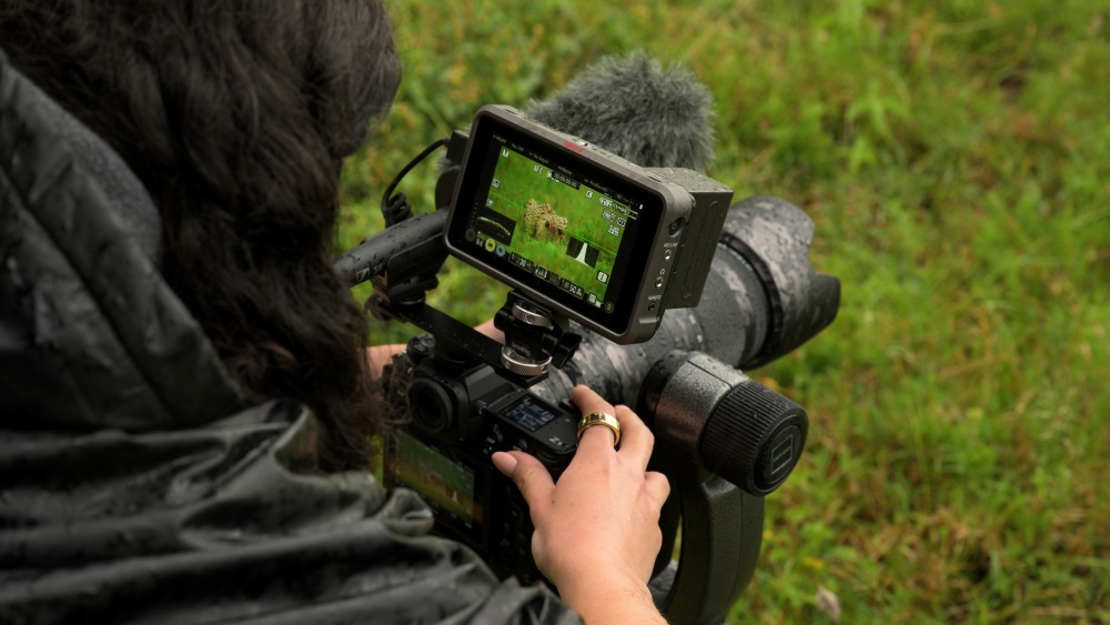 How a Safari Advisor Saves You Time