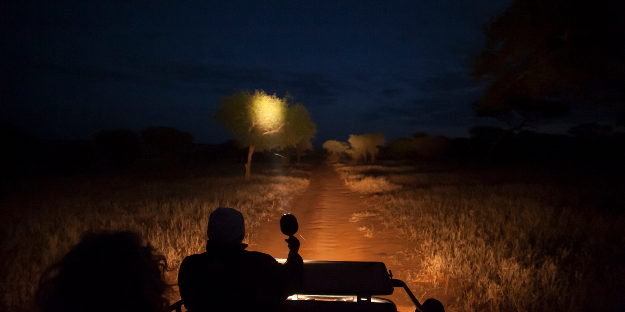 How a Safari Advisor Helps You Choose the Right Operator