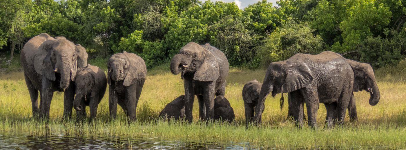 Complete Safari Guide to South Africa